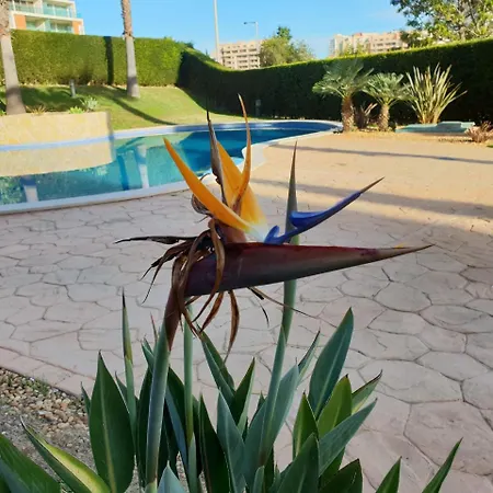 Lejlighed Litoral Mar